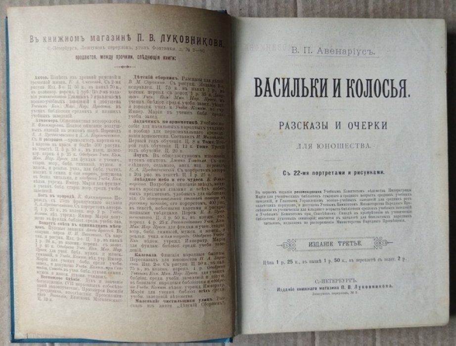 Авенариус В.П. Васильки и колосья. 