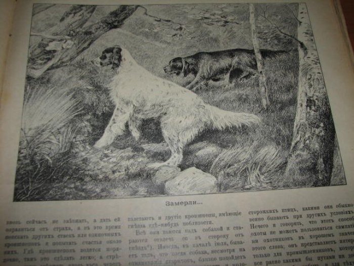 Охотничий вестник (годовая подшивка) за 1908 год