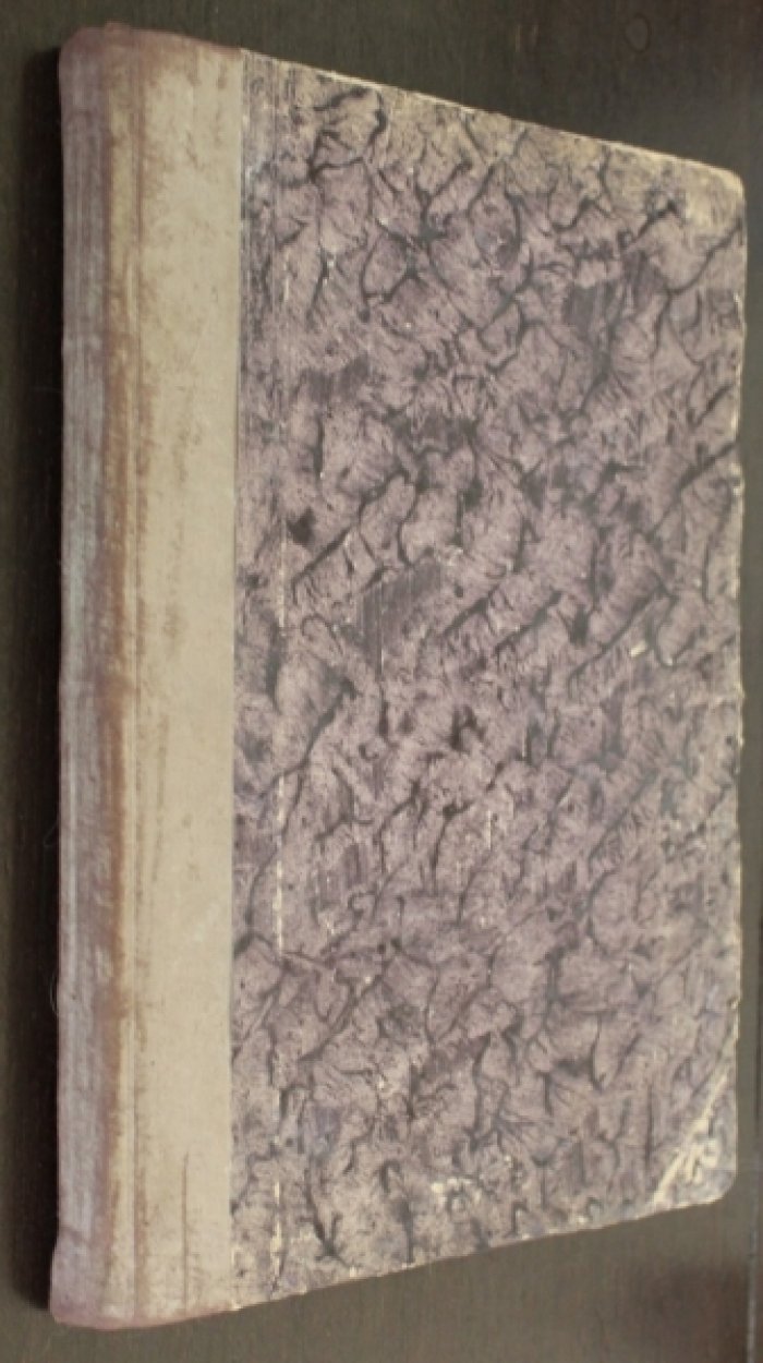 Мутер Р. История живописи в XIX веке. VIII-й вып. Т. III. Главы XLIV-L.