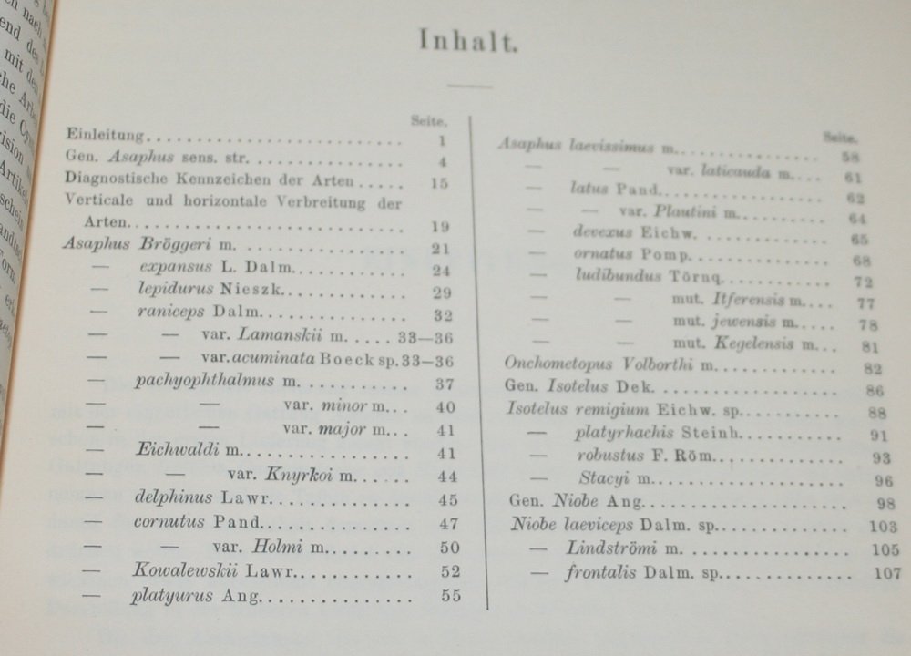 Шмидт Фр. Пересмотр Восточно-Балтийских силурийских трилобитов. (Revision der Ostbaltischen Silurischen Trilobiten. ).