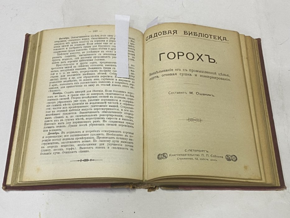 Практическое огородничество. Горох. Возделывание его с промышленной целью. Шампиньоны. Доходные культуры спаржи.