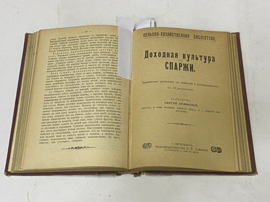 Практическое огородничество. Горох. Возделывание его с промышленной целью. Шампиньоны. Доходные культуры спаржи.