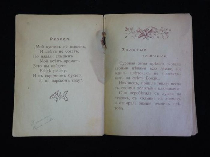 Цветочки. (Стихи и проза для детей)