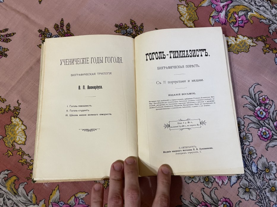 Гоголь-гимназист. Биографическая повесть.