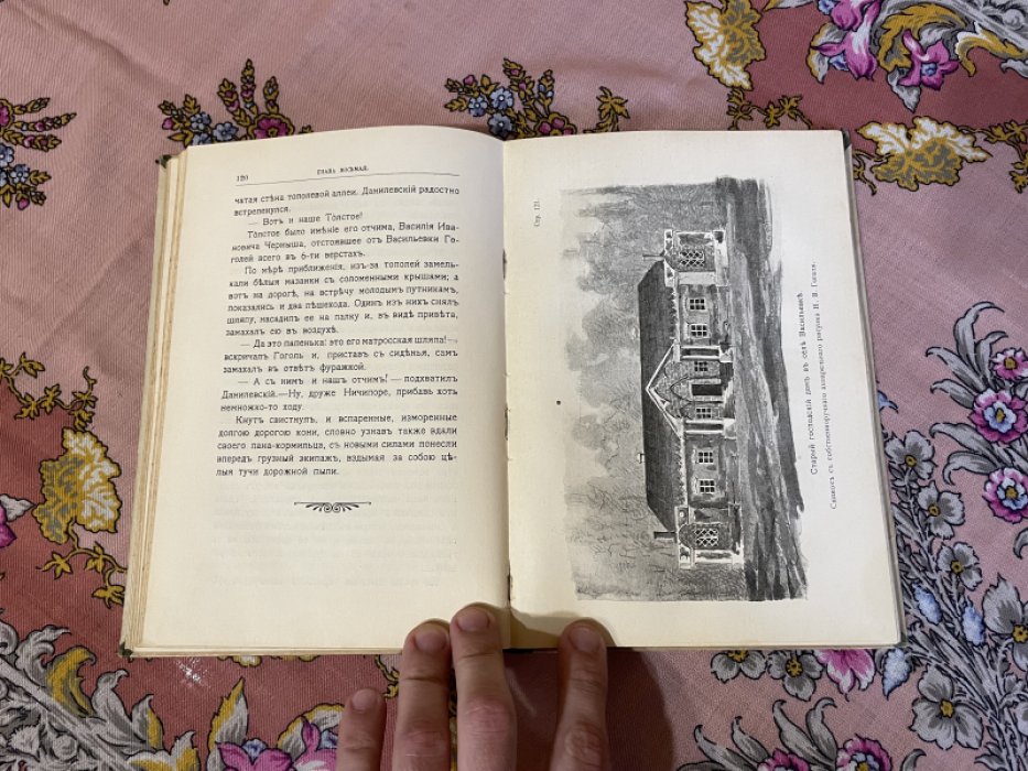 Гоголь-гимназист. Биографическая повесть.
