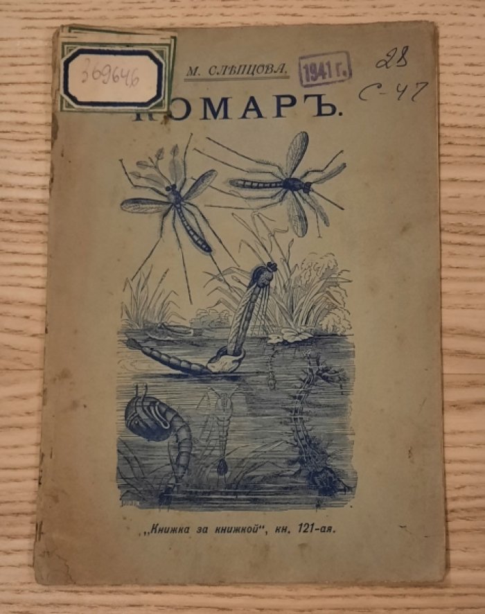 Слепцова М. Комар.