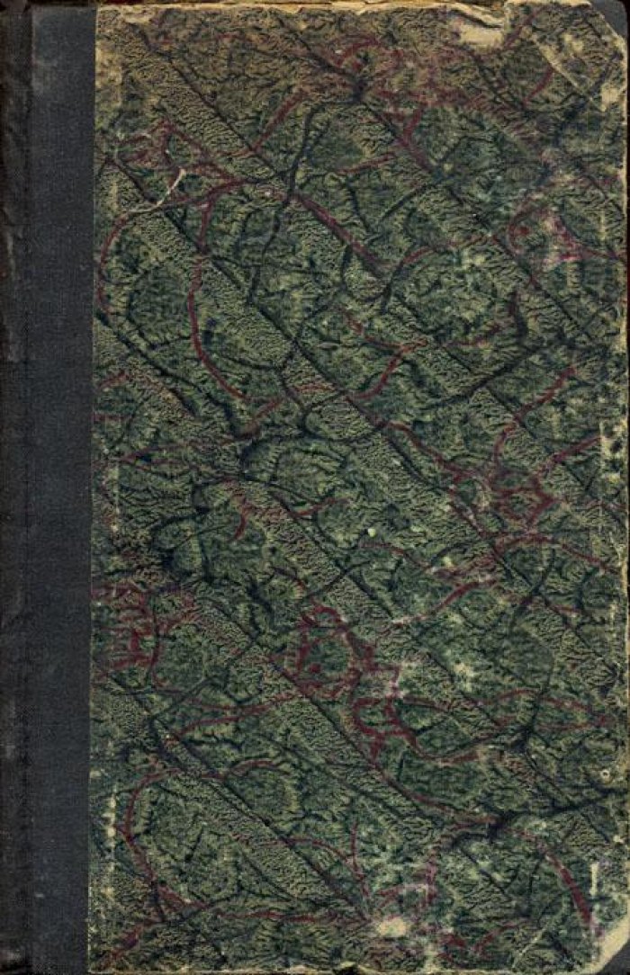 Немирович-Данченко, В.И. У голубого моря.