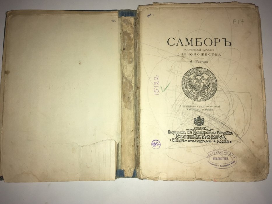 Разин А. Самбор.