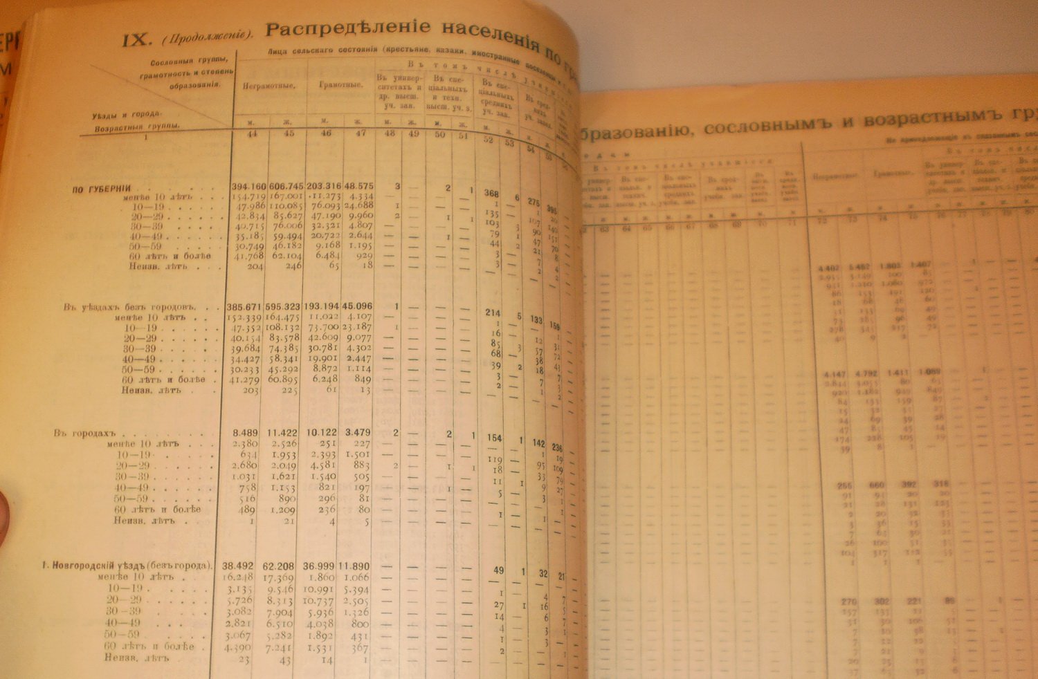 Первая Всеобщая перепись населения Российской империи 1897 г.часть 26. Новгородская губерния.тетрадь 2-я.