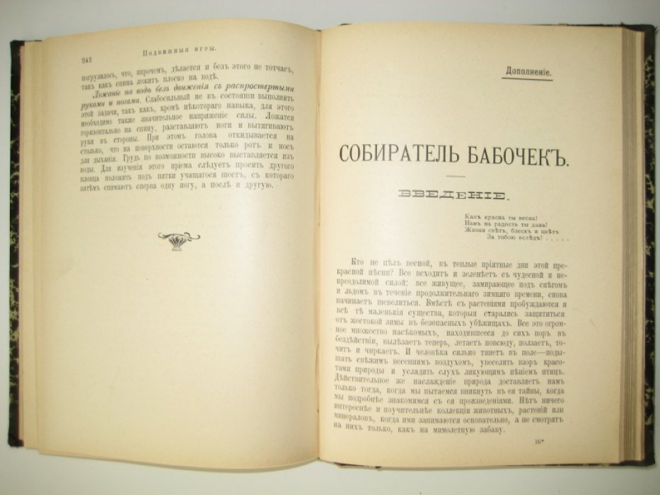 Кольрауш Э. и Вагнер И. Подвижные игры, дополнение: Собиратель бабочек.