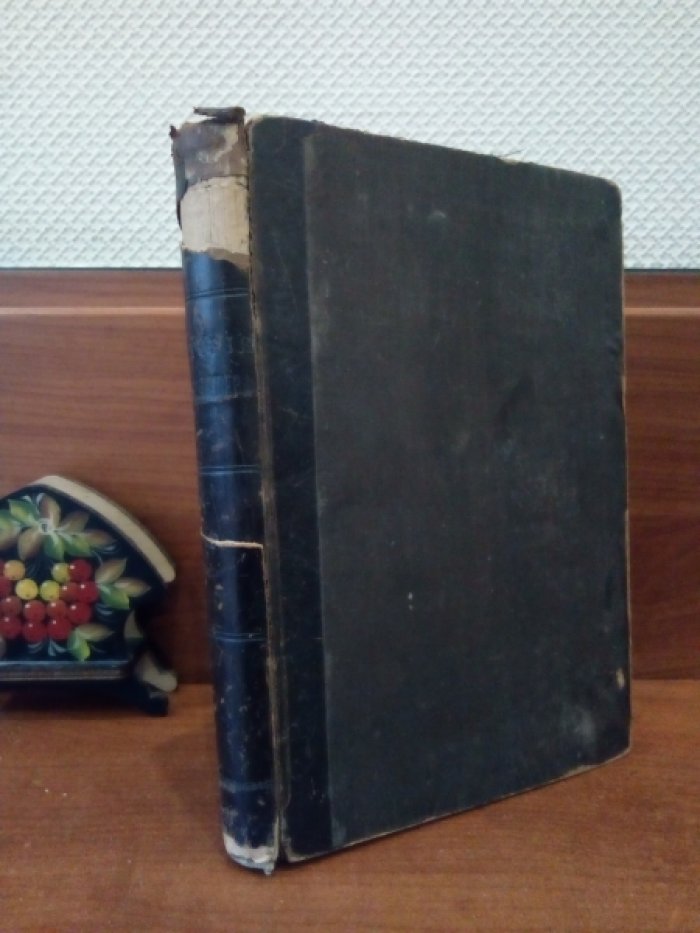 Энгельгардт Николай. История русской литературы XIX столетия. В 2-х томах.