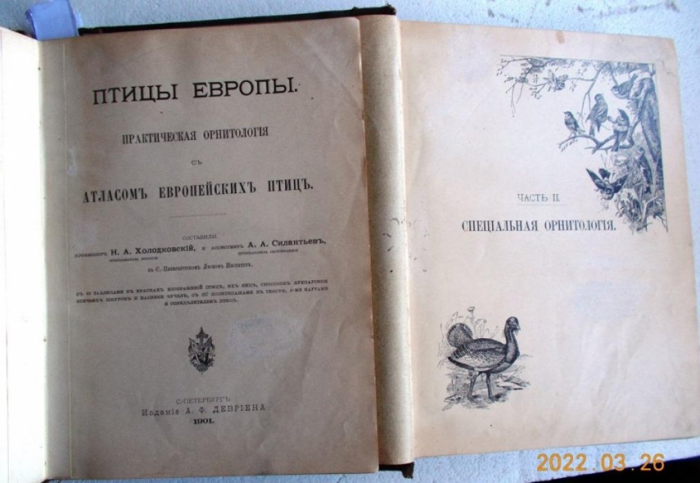 Холодковский Н. А., Силантьев А. А. Птицы Европы.