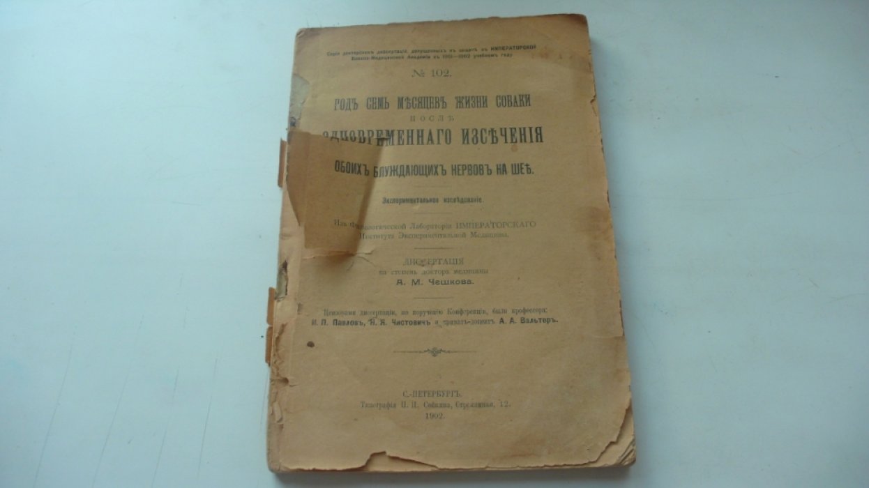 Чешков А.М. Год семь месяцев жизни собаки после одновременного иссечения обоих блуждающих нервов на шее.