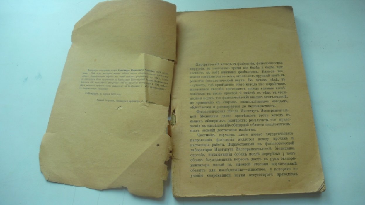 Чешков А.М. Год семь месяцев жизни собаки после одновременного иссечения обоих блуждающих нервов на шее.
