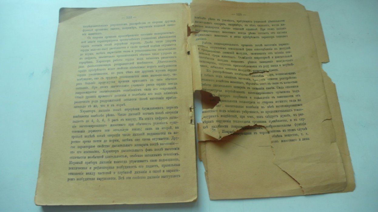 Чешков А.М. Год семь месяцев жизни собаки после одновременного иссечения обоих блуждающих нервов на шее.