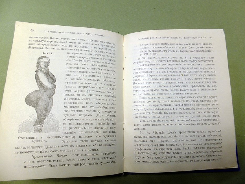 Крживицкий Л. Физическая антропология.