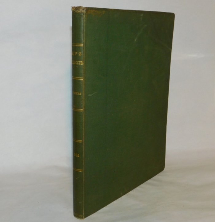 Хроника журнала «Мир искусства» за 1904 год.