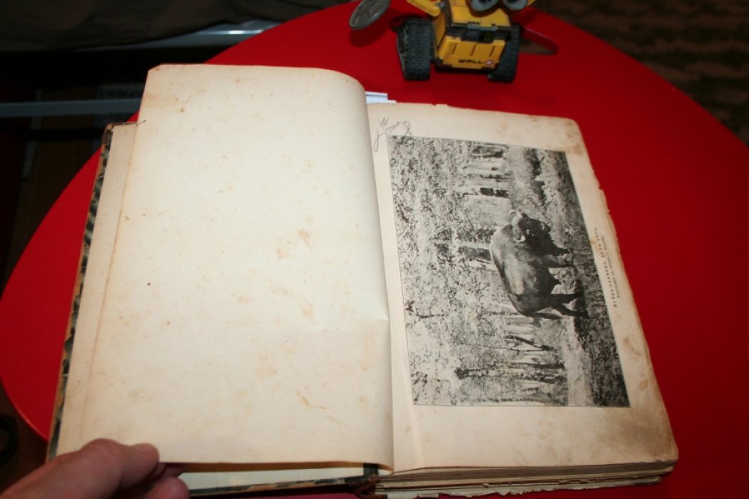 Природа и Охота. 1904 г. Октябрь - декабрь. В одном преплете.