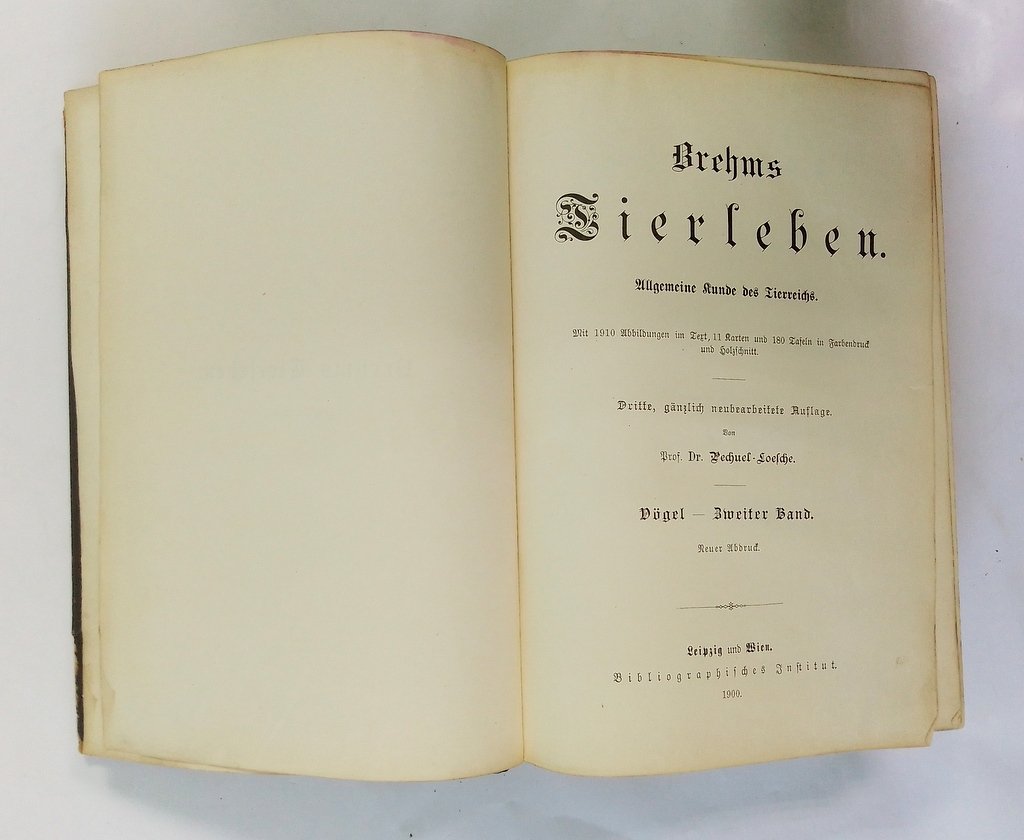 Брэм, А.Э. (Brehm, A.E.). Жизнь животных.