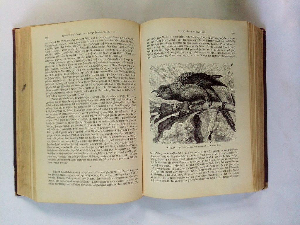 Брэм, А.Э. (Brehm, A.E.). Жизнь животных.