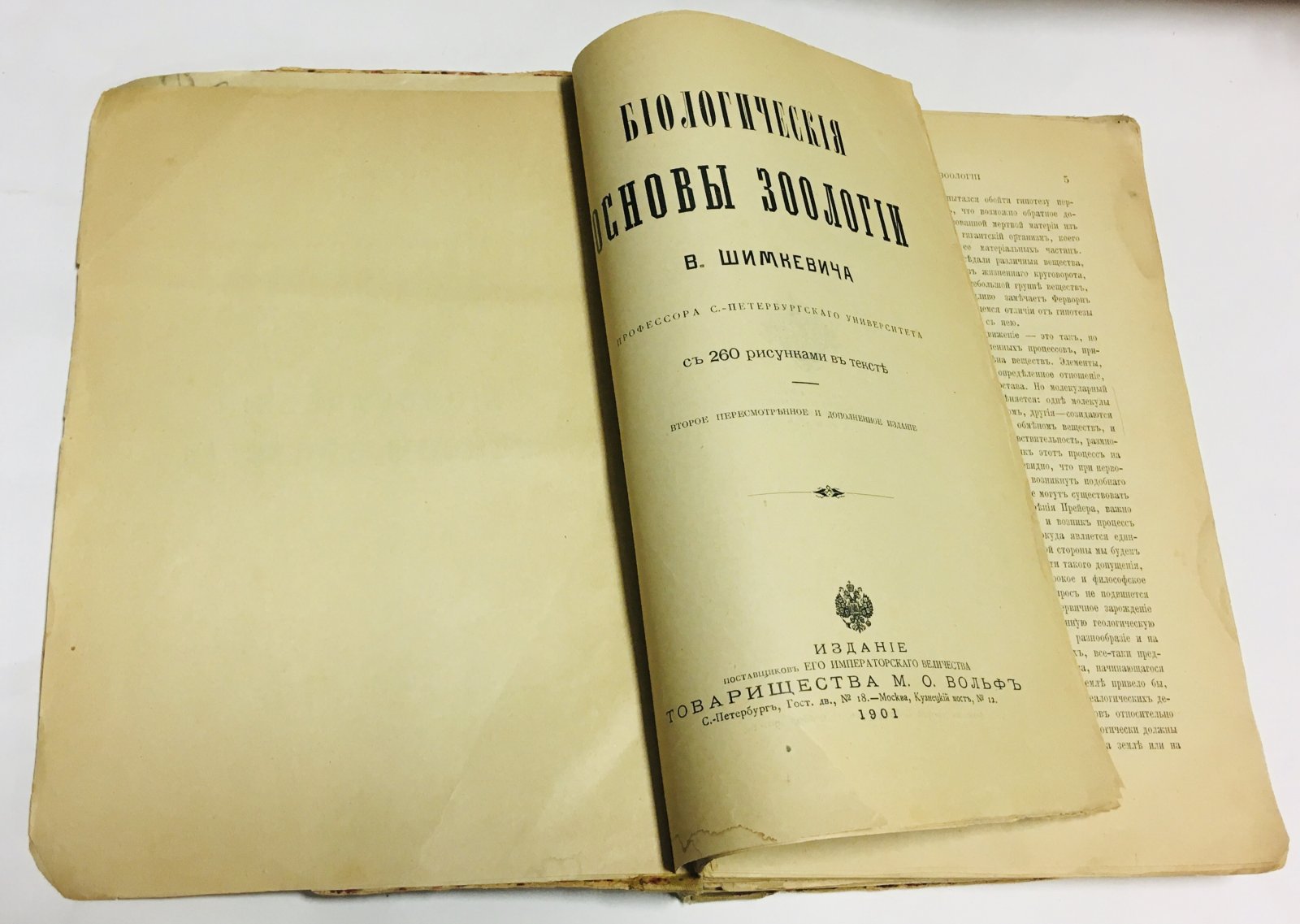 Шимкевич В. Биологические основы зоологии.