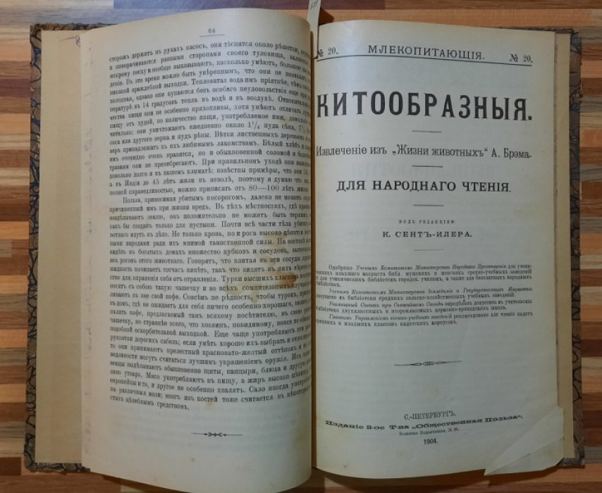 Сент-Илер К. Слоны и носороги. Китообразные.