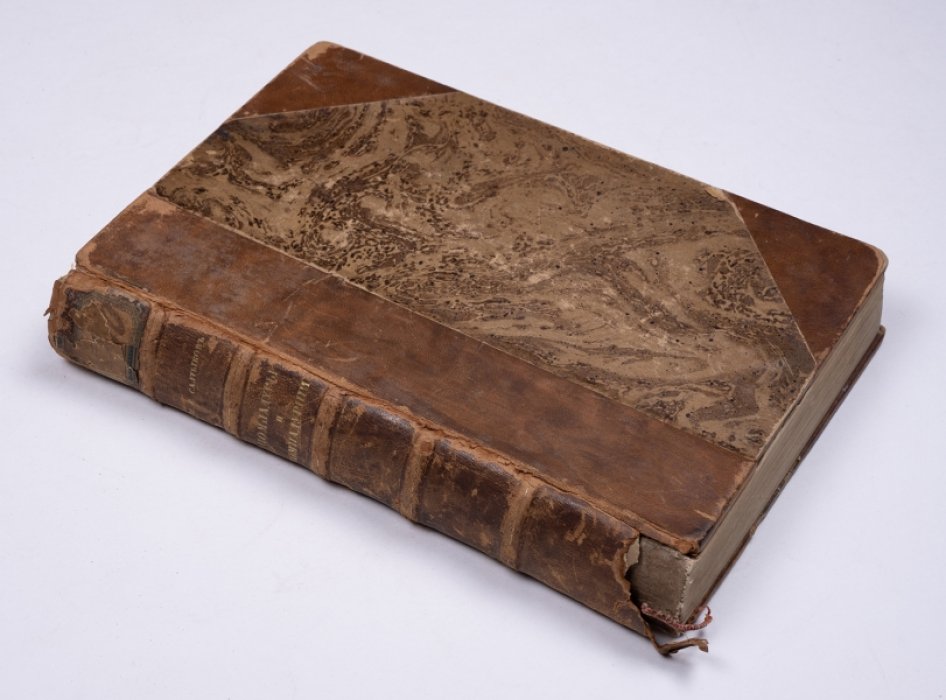 Салтыков-Щедрин М.Е. Помпадуры и помпадурши (1863–1873 гг.). Невинные рассказы (1857–1863 гг.)