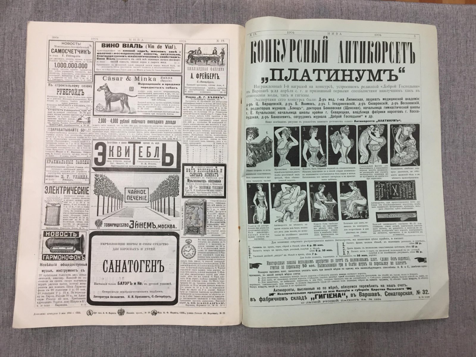 Нива. № 19, 8 мая 1904 Г.