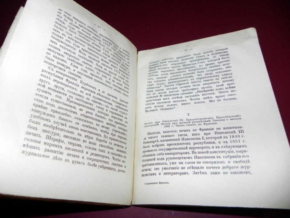 Быкова А.В. Франция и французы. Очерк развития демократии и республики.