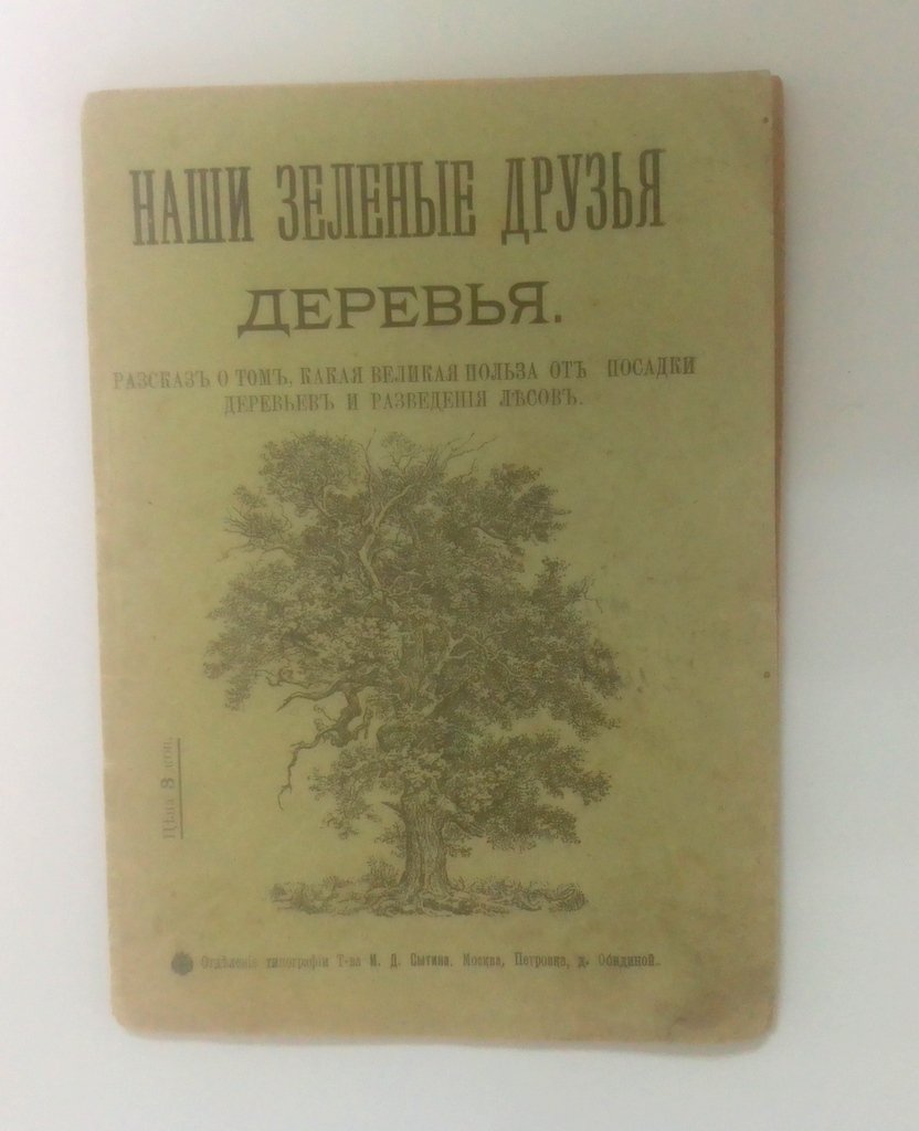 Наши зеленые друзья деревья.