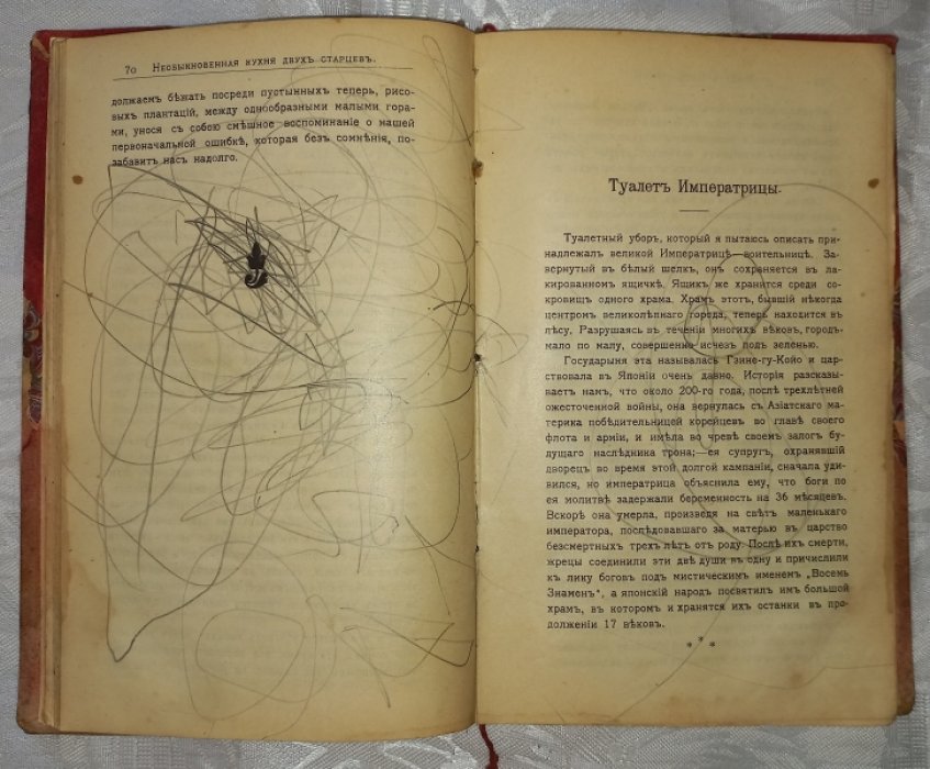 Пьер Лоти. Японские негативы: (Осенние картинки).