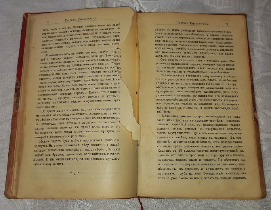 Пьер Лоти. Японские негативы: (Осенние картинки).