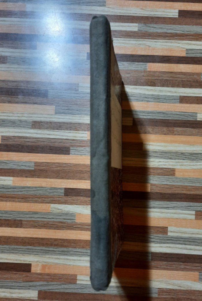 Лебедев В.П. Великий страдалец.