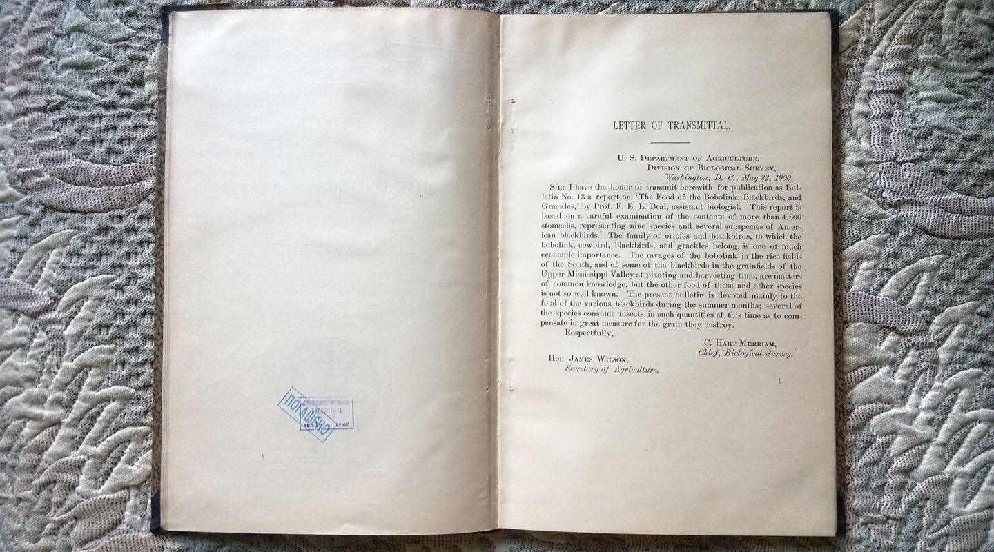 Beal F. E. L. Food of The Bobolink, Blackbirds, and Grackles (Пищевой рацион боболинков (рисовых птиц), черных дроздов и граклов)..