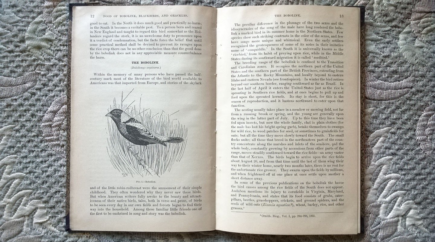 Beal F. E. L. Food of The Bobolink, Blackbirds, and Grackles (Пищевой рацион боболинков (рисовых птиц), черных дроздов и граклов)..