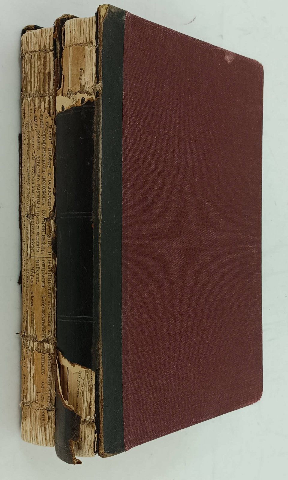 Вольногорский П. Страницы из Книги Природы. 2 ч.