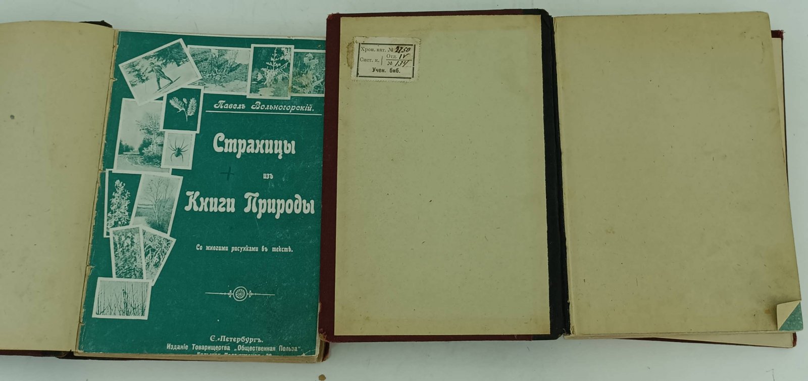 Вольногорский П. Страницы из Книги Природы. 2 ч.