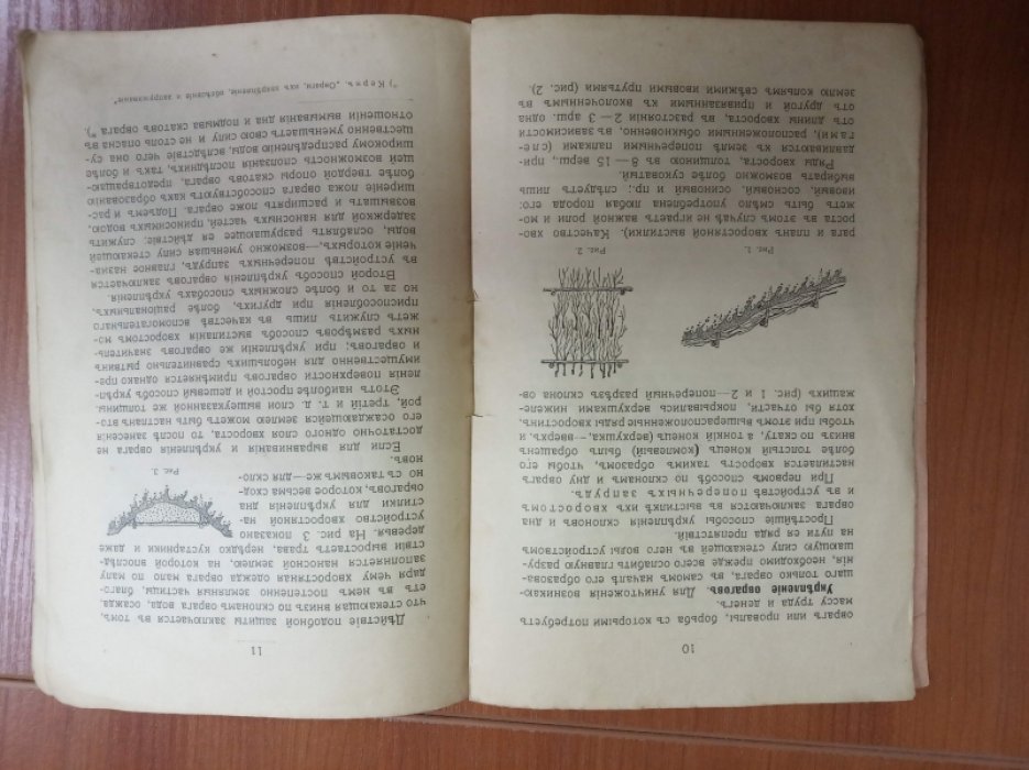 Папенгут. Овраги, их укрепление и облесение. С 12 рисунками.