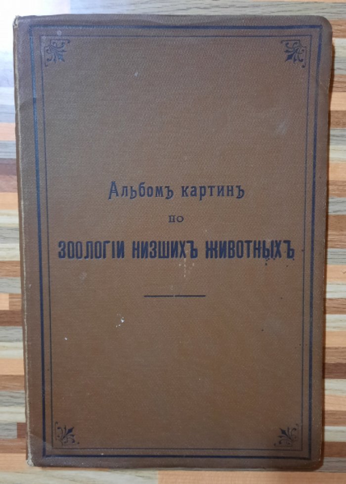 Маршалль Вильям. Альбом картин по зоологии низших животных.