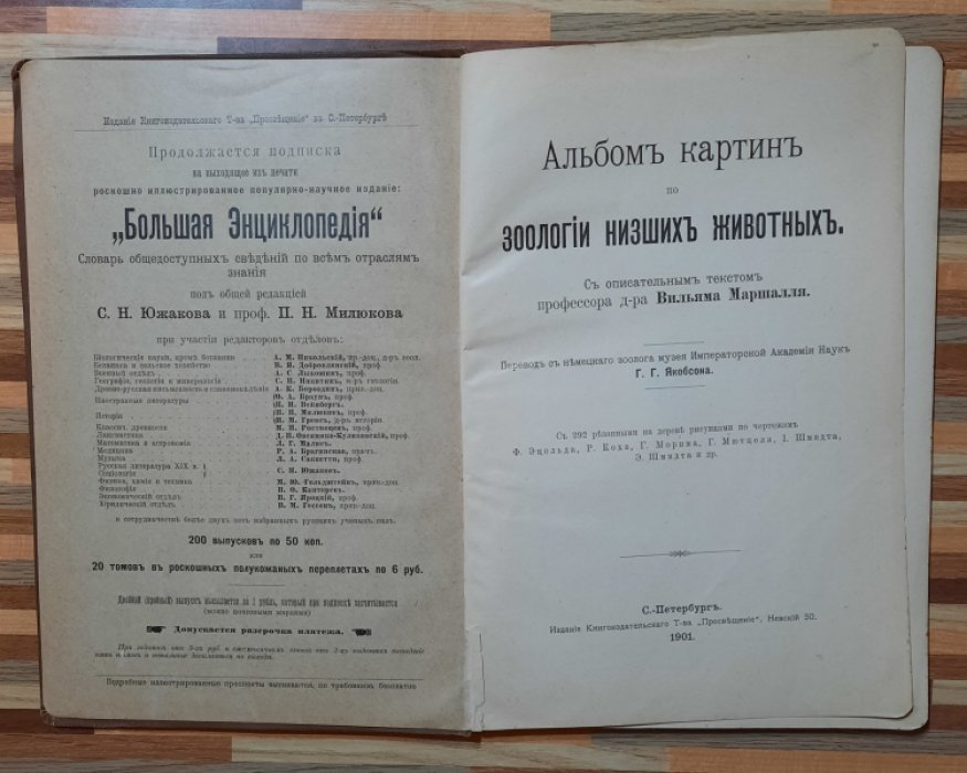 Маршалль Вильям. Альбом картин по зоологии низших животных.