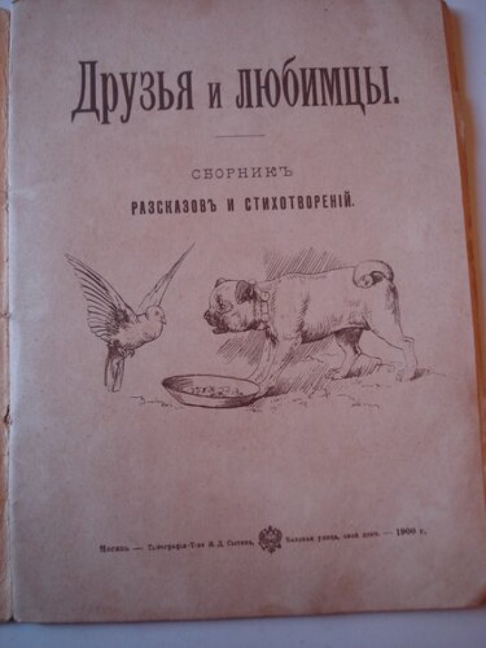 Друзья и любимцы.