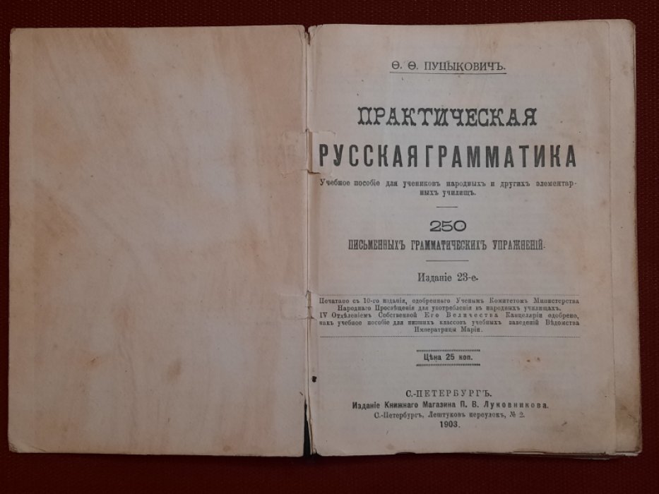 Пуцыкович Ф.Ф. Практическая русская грамматика. Учебное пособие для учеников народных и других элементарных училищ. 250 письменных грамматических упражнений.