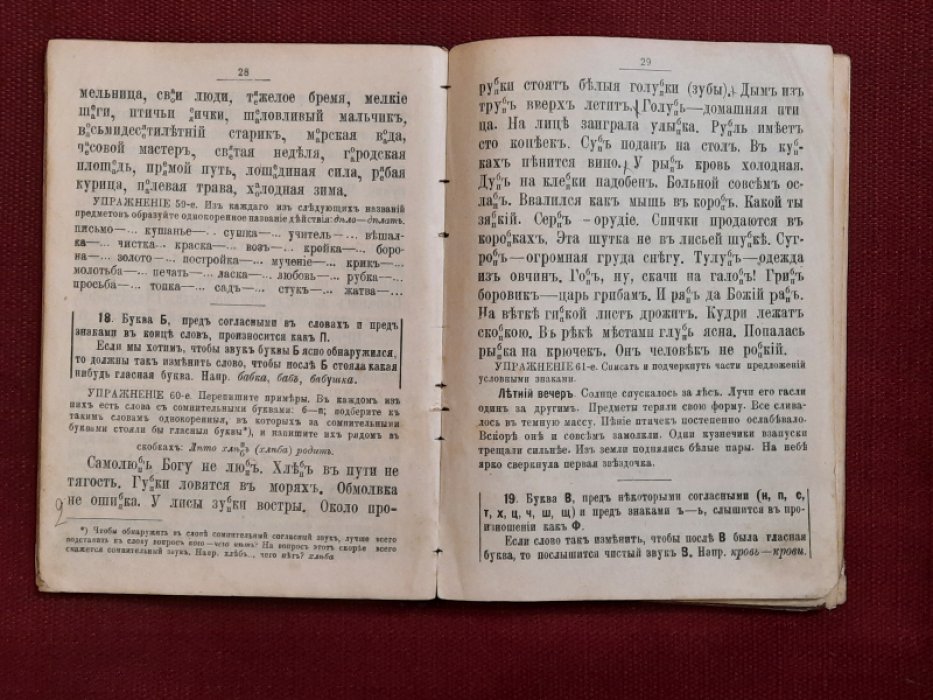Пуцыкович Ф.Ф. Практическая русская грамматика. Учебное пособие для учеников народных и других элементарных училищ. 250 письменных грамматических упражнений.