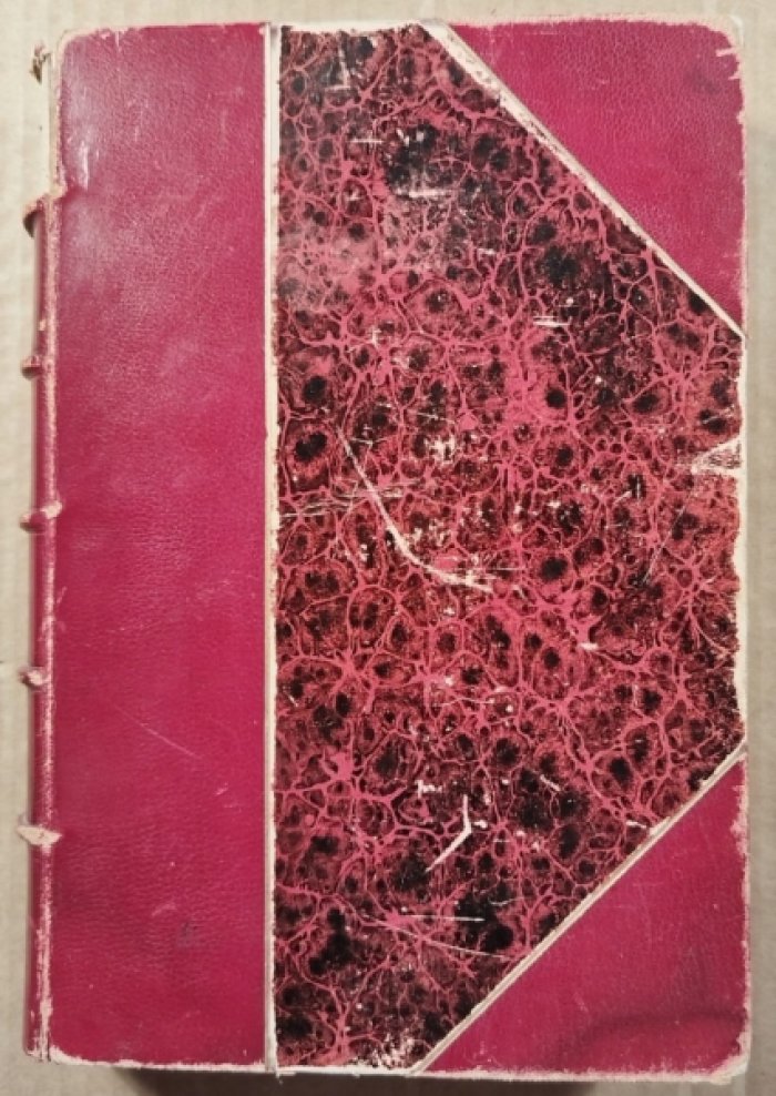 Тургенев И.С. Полное собрание сочинений. Том 10.