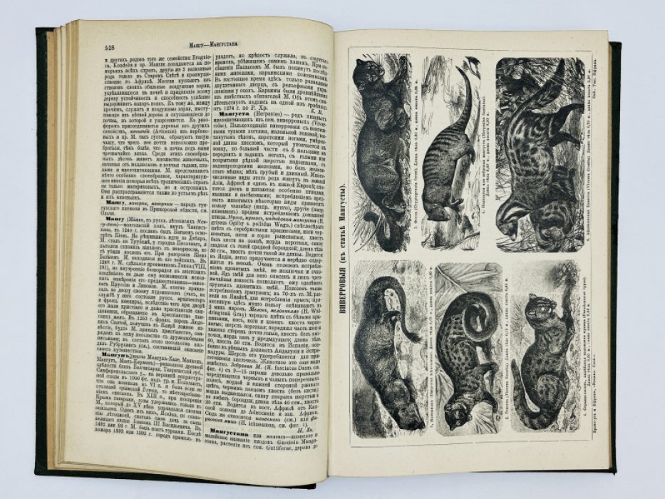 Брокгауз Ф.А., Ефрон И.А. Энциклопедический словарь. Том XVIIIа (полутом 36). Малолетство -Мейшагола