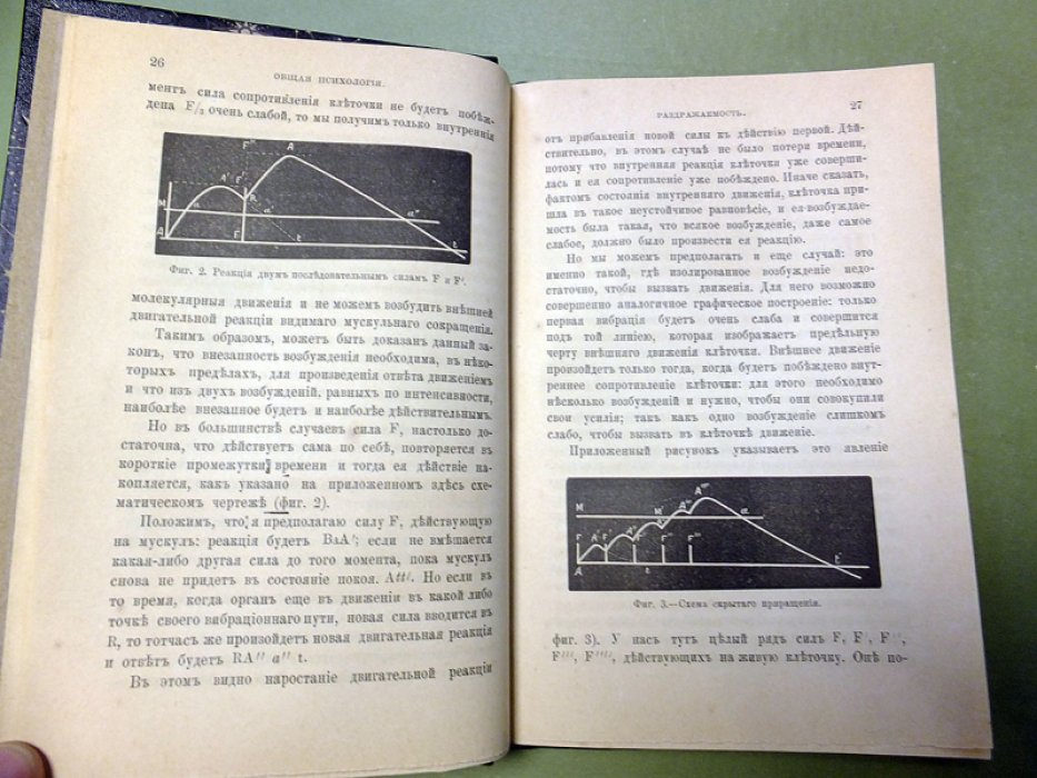 Рише Ш. Опыт общей психологии.(Essai de psychologie generale)