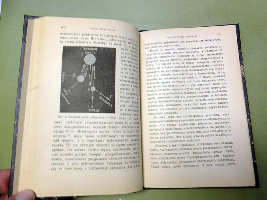 Рише Ш. Опыт общей психологии.(Essai de psychologie generale)