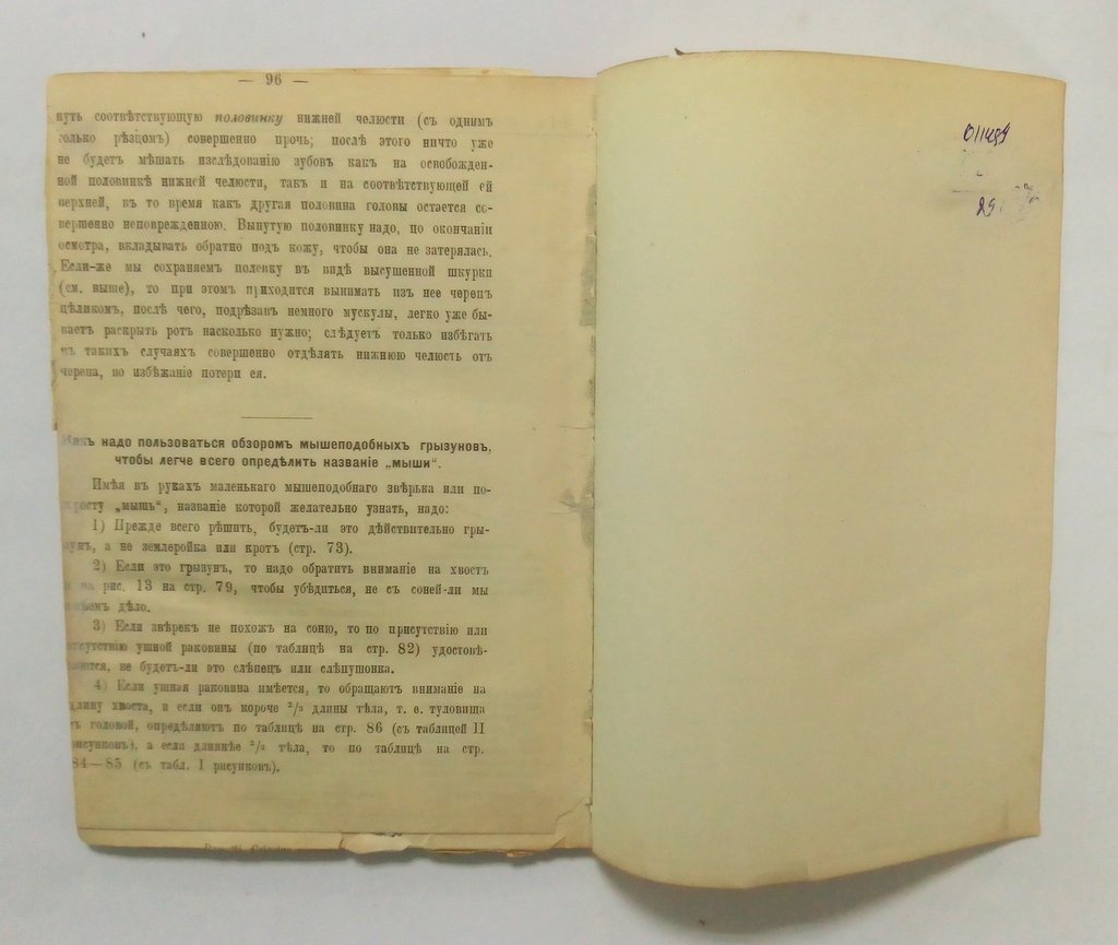 Силантьев, А.А. Вредная деятельность зайцев.