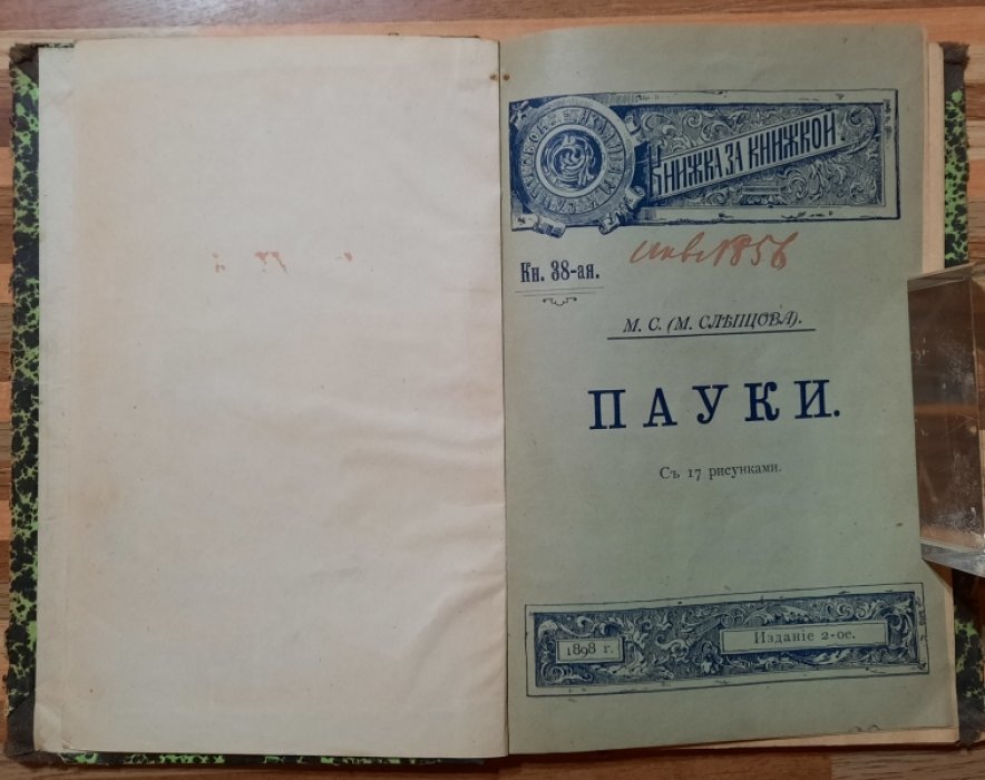 Слепцова М. Пауки.