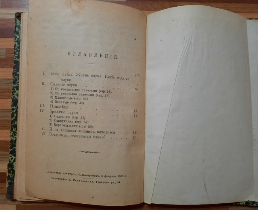 Слепцова М. Пауки.